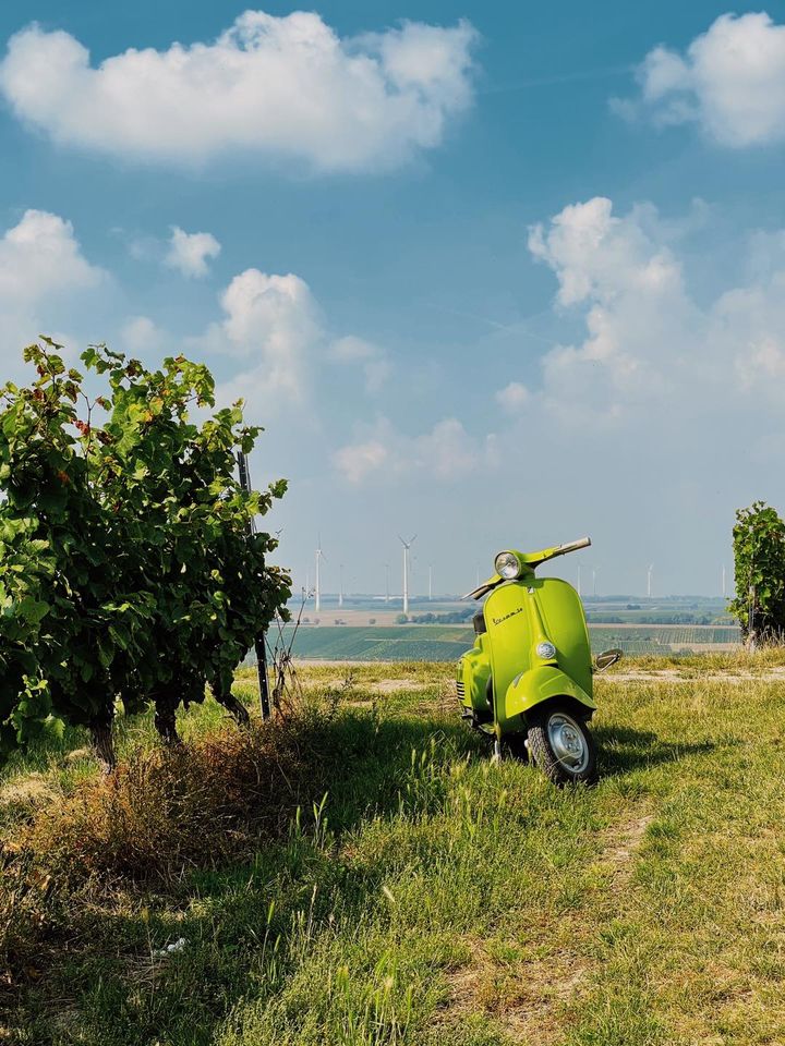 Anrollern_VC_Mainz_2024